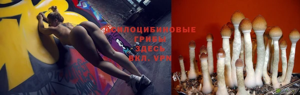 прущие крисы Абинск
