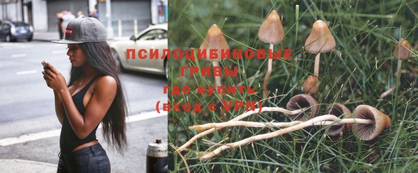 прущие крисы Абинск