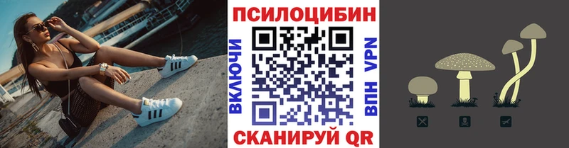 хочу   Цимлянск  Галлюциногенные грибы ЛСД 