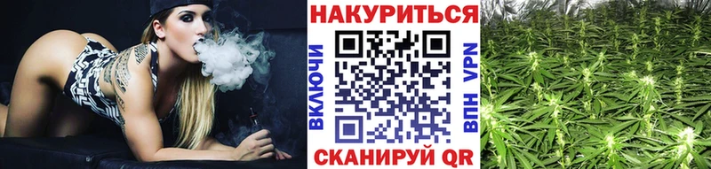 где найти   Цимлянск  Канабис семена 