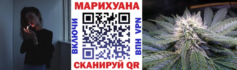 Бошки Шишки гибрид Цимлянск
